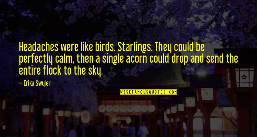 Birds In The Sky Quotes By Erika Swyler: Headaches were like birds. Starlings. They could be