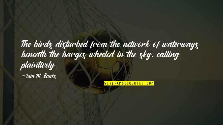 Birds In The Sky Quotes By Iain M. Banks: The birds disturbed from the network of waterways