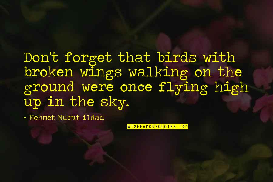 Birds In The Sky Quotes By Mehmet Murat Ildan: Don't forget that birds with broken wings walking