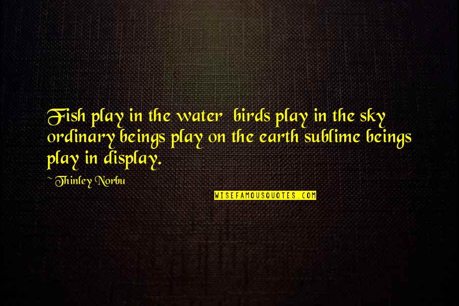 Birds In The Sky Quotes By Thinley Norbu: Fish play in the water birds play in