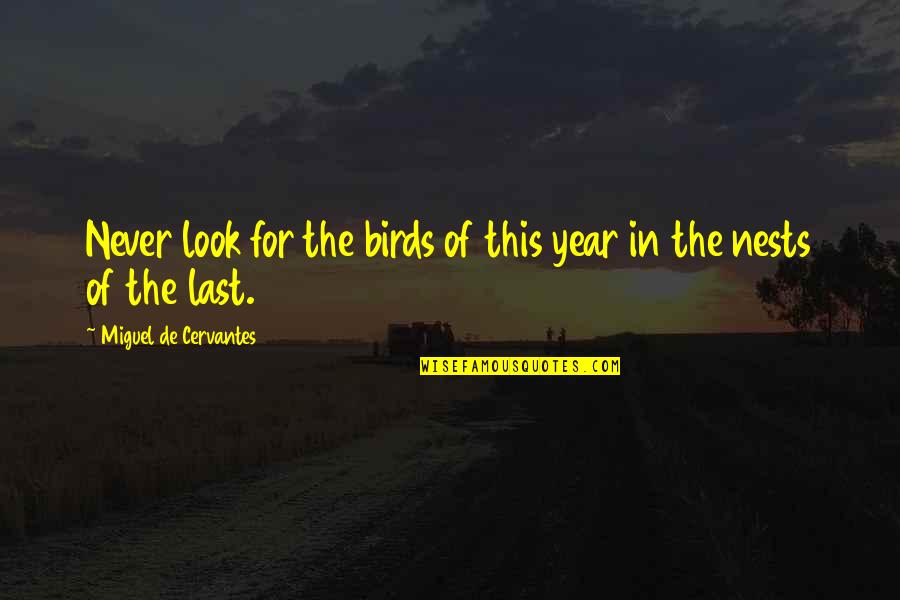 Birds Nests Quotes By Miguel De Cervantes: Never look for the birds of this year