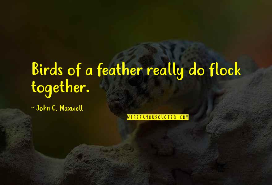 Birds Of A Feather Flock Together Quotes By John C. Maxwell: Birds of a feather really do flock together.