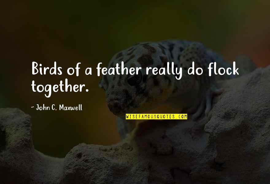 Birds Of A Feather Quotes By John C. Maxwell: Birds of a feather really do flock together.