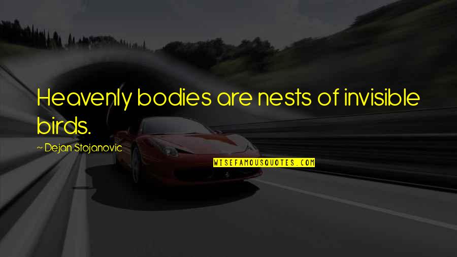 Birds Of Heaven Quotes By Dejan Stojanovic: Heavenly bodies are nests of invisible birds.