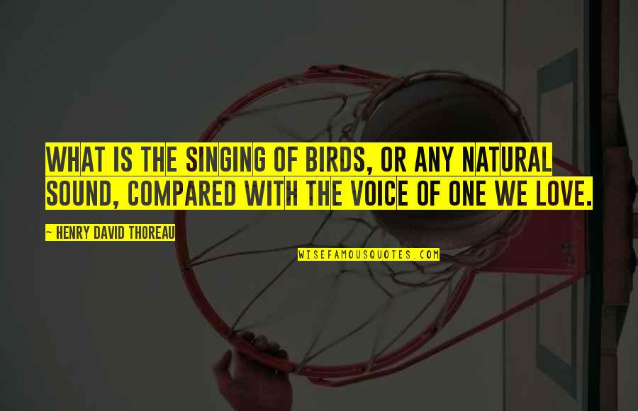 Birds Singing Quotes By Henry David Thoreau: What is the singing of birds, or any