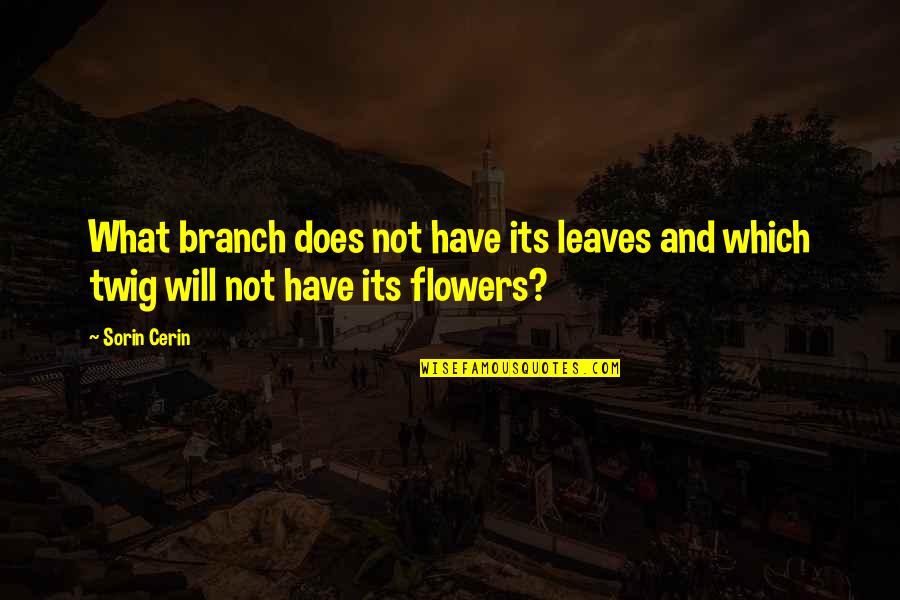 Birds Soaring Quotes By Sorin Cerin: What branch does not have its leaves and