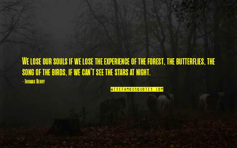 Birds Song Quotes By Thomas Berry: We lose our souls if we lose the