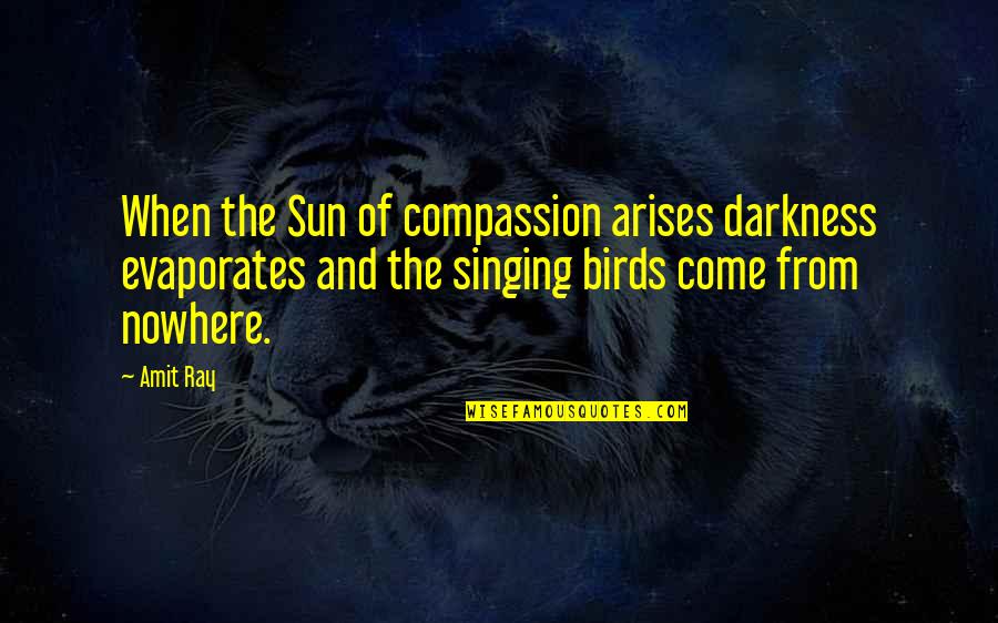 Birdsong Quotes By Amit Ray: When the Sun of compassion arises darkness evaporates