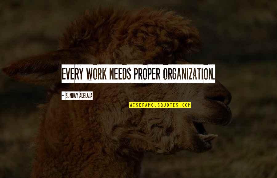 Birdwatcher Quotes By Sunday Adelaja: Every work needs proper organization.