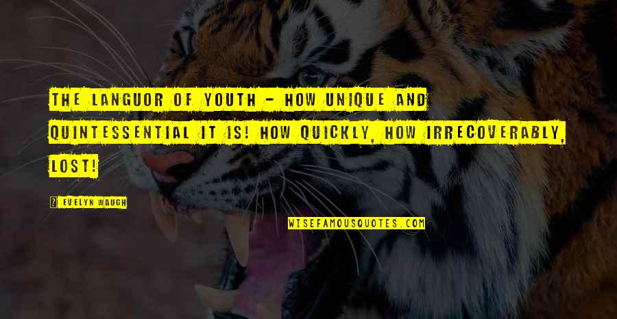 Birendra Nath Quotes By Evelyn Waugh: The languor of Youth - how unique and