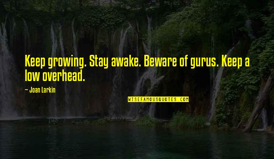 Birini Zleyince Quotes By Joan Larkin: Keep growing. Stay awake. Beware of gurus. Keep