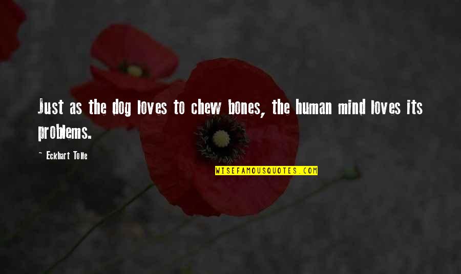 Birken Quotes By Eckhart Tolle: Just as the dog loves to chew bones,