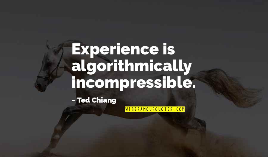 Birkett Long Ifa Quotes By Ted Chiang: Experience is algorithmically incompressible.