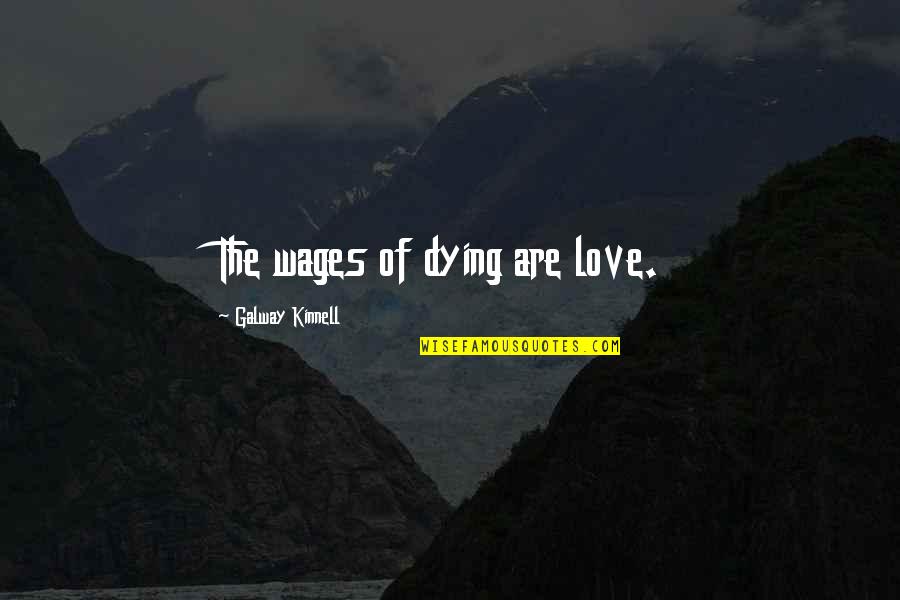 Birkhoff Polytope Quotes By Galway Kinnell: The wages of dying are love. Birkhoff Polytope Quotes By Galway Kinnell: The wages of dying are love.