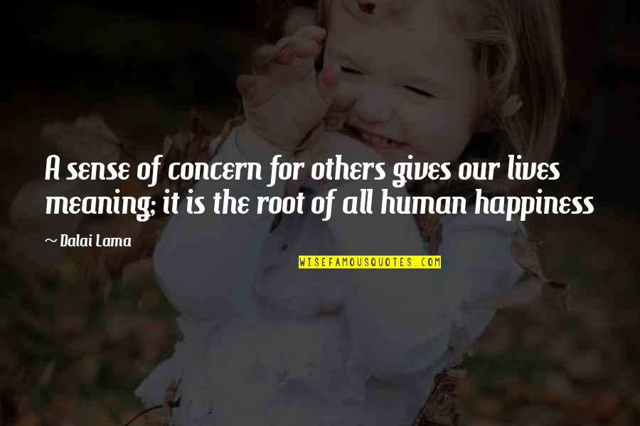 Birney Quotes By Dalai Lama: A sense of concern for others gives our