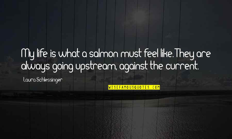 Birse Quotes By Laura Schlessinger: My life is what a salmon must feel Birse Quotes By Laura Schlessinger: My life is what a salmon must feel