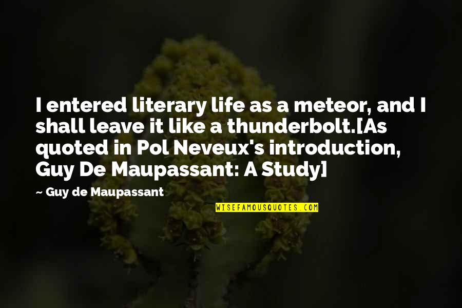 Birth Life And Death Quotes By Guy De Maupassant: I entered literary life as a meteor, and