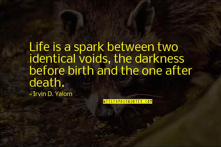 Birth Life And Death Quotes By Irvin D. Yalom: Life is a spark between two identical voids,
