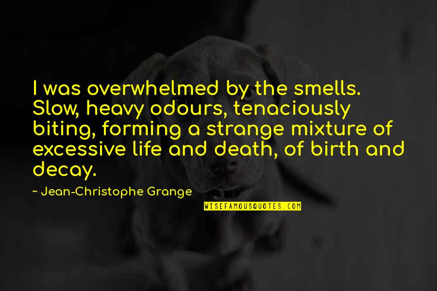 Birth Life And Death Quotes By Jean-Christophe Grange: I was overwhelmed by the smells. Slow, heavy