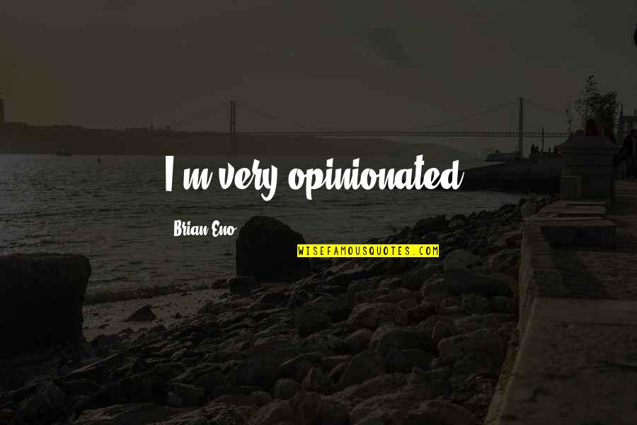 Birth Mother Quotes And Quotes By Brian Eno: I'm very opinionated.