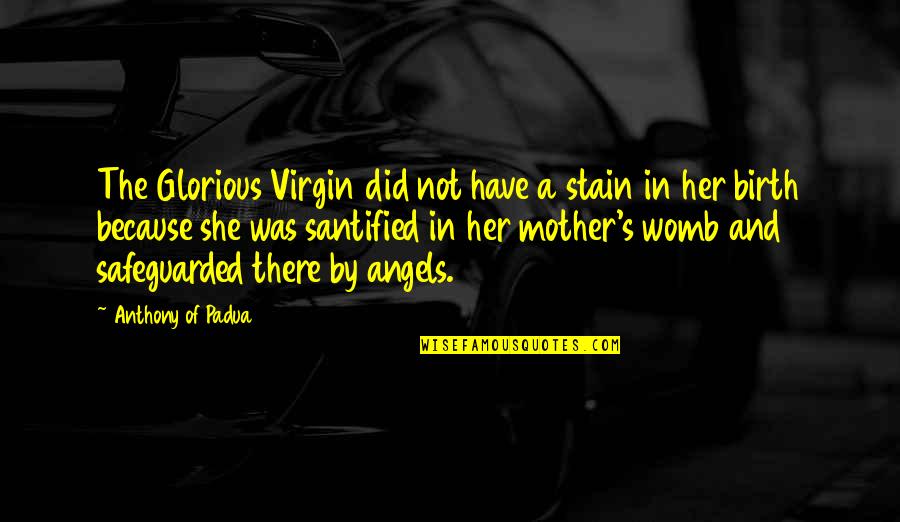 Birth Mother Quotes By Anthony Of Padua: The Glorious Virgin did not have a stain