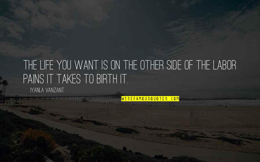 Birth The Quotes By Iyanla Vanzant: The life you want is on the other