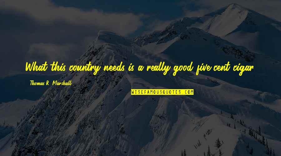 Birthday Celebrate Quotes By Thomas R. Marshall: What this country needs is a really good