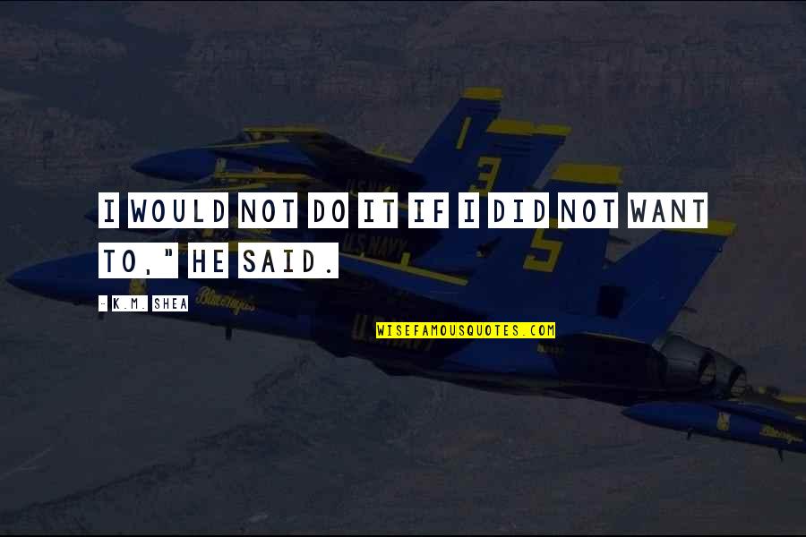 Birthday Chef Quotes By K.M. Shea: I would not do it if I did
