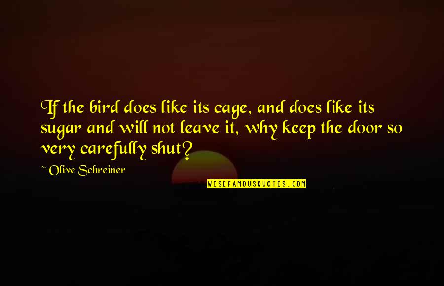 Birthday Of Best Friend Quotes By Olive Schreiner: If the bird does like its cage, and