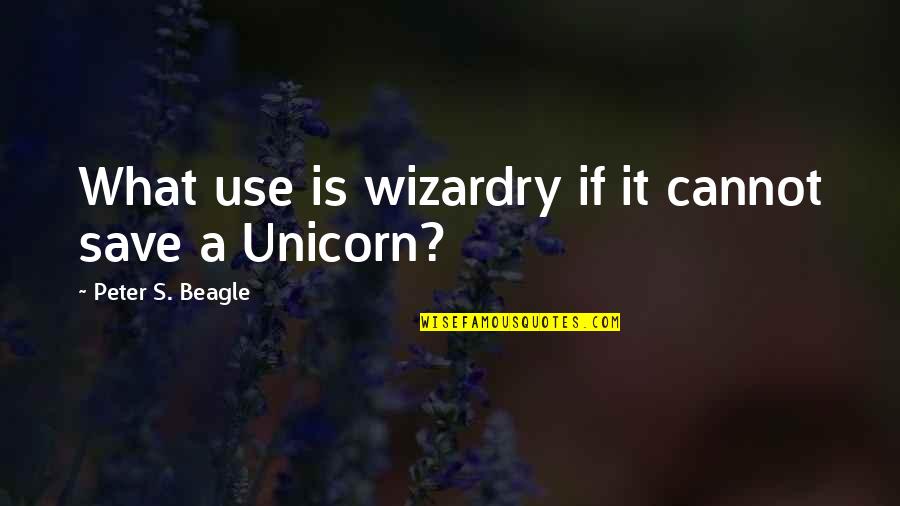 Birzebbuga Quotes By Peter S. Beagle: What use is wizardry if it cannot save
