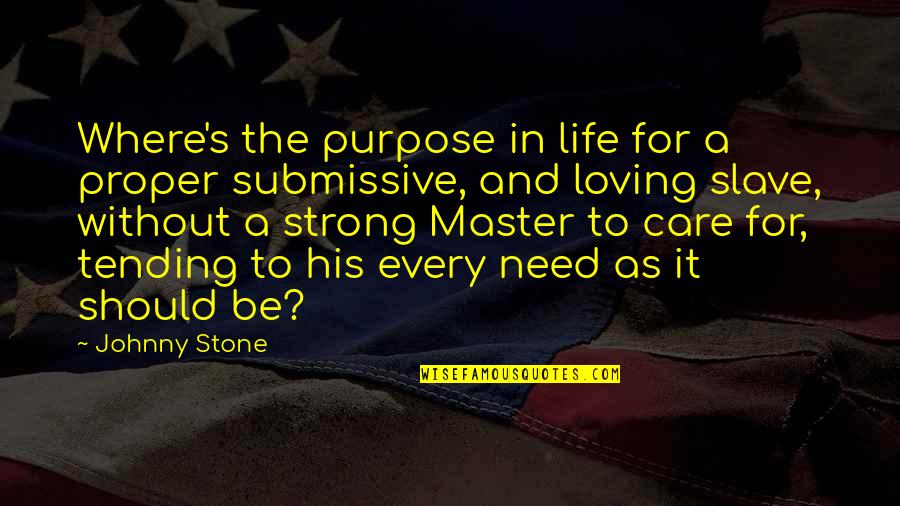 Bisabuelos Quotes By Johnny Stone: Where's the purpose in life for a proper