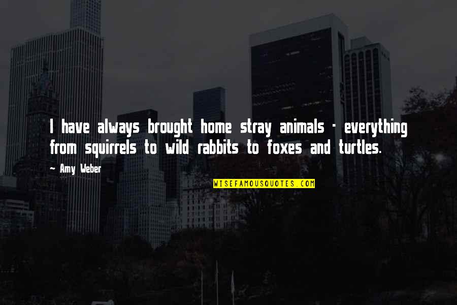 Bisaya Funny Jokes Quotes By Amy Weber: I have always brought home stray animals -