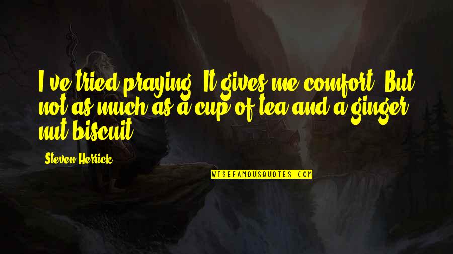 Biscuit Quotes By Steven Herrick: I've tried praying. It gives me comfort. But