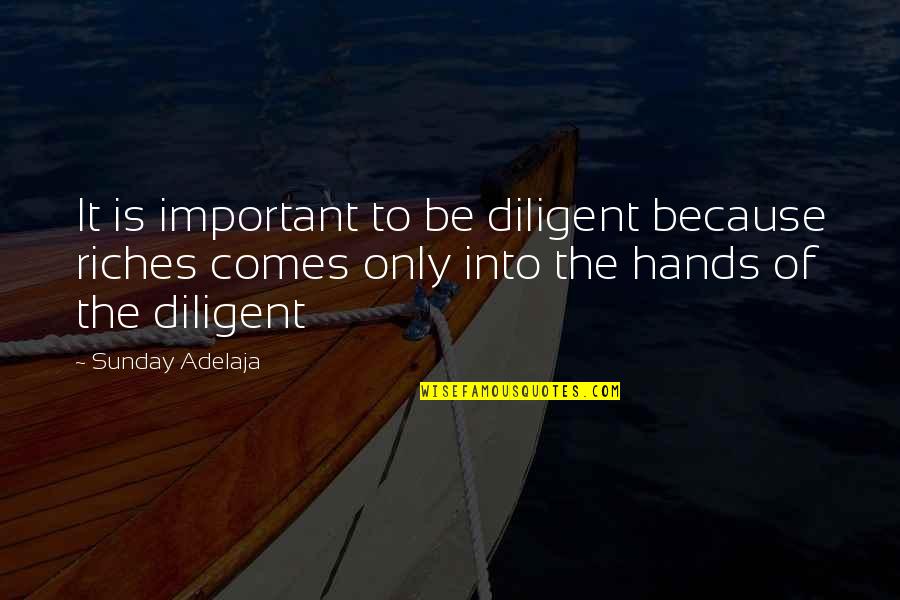 Biscuits And Gravy Movie Quote Quotes By Sunday Adelaja: It is important to be diligent because riches