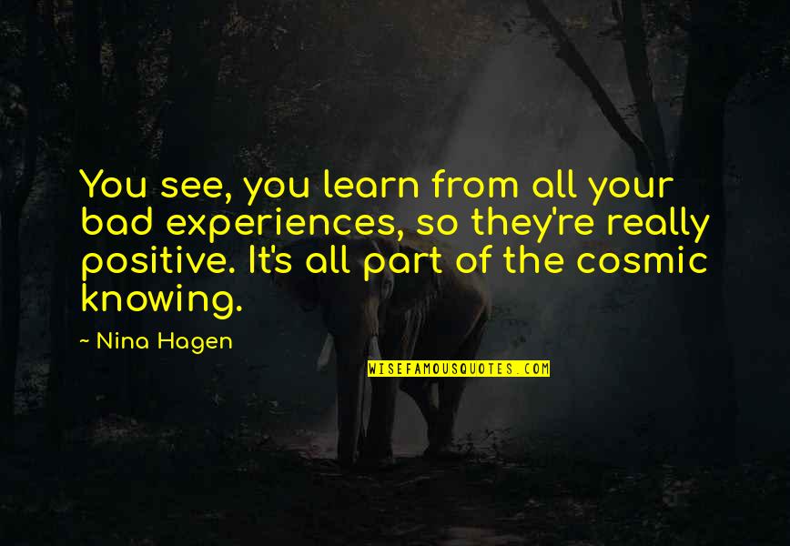 Bisera Diet Quotes By Nina Hagen: You see, you learn from all your bad Bisera Diet Quotes By Nina Hagen: You see, you learn from all your bad