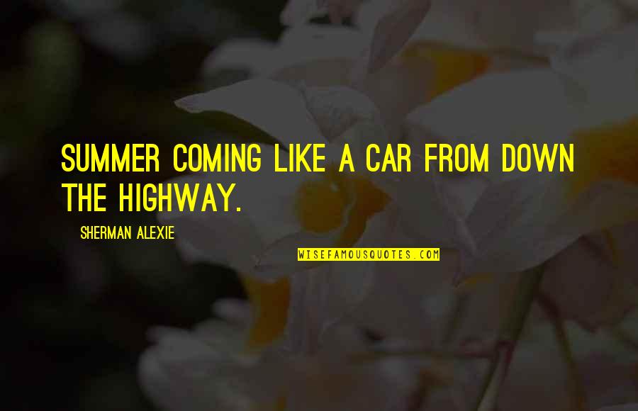 Biserka Pecurka Quotes By Sherman Alexie: Summer coming like a car from down the
