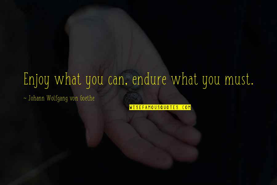 Bishop Lekganyane Quotes By Johann Wolfgang Von Goethe: Enjoy what you can, endure what you must.