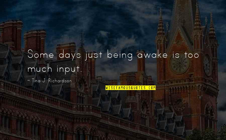 Bishop Zondo Quotes By Tina J. Richardson: Some days just being awake is too much