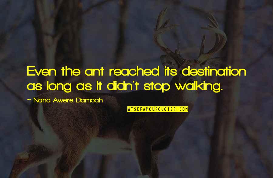 Biskupski Prsten Quotes By Nana Awere Damoah: Even the ant reached its destination as long Biskupski Prsten Quotes By Nana Awere Damoah: Even the ant reached its destination as long