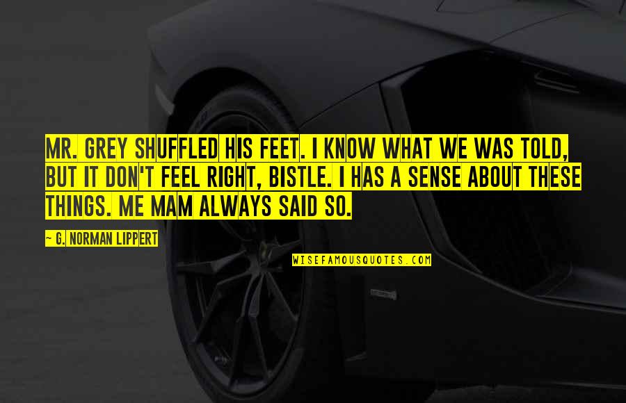 Bistle Quotes By G. Norman Lippert: Mr. Grey shuffled his feet. I know what