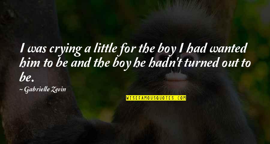 Bit Sad Quotes By Gabrielle Zevin: I was crying a little for the boy