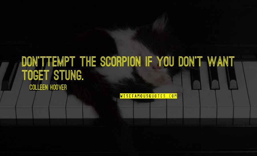 Bitchy But Awesome Quotes By Colleen Hoover: Don'ttempt the scorpion if you don't want toget