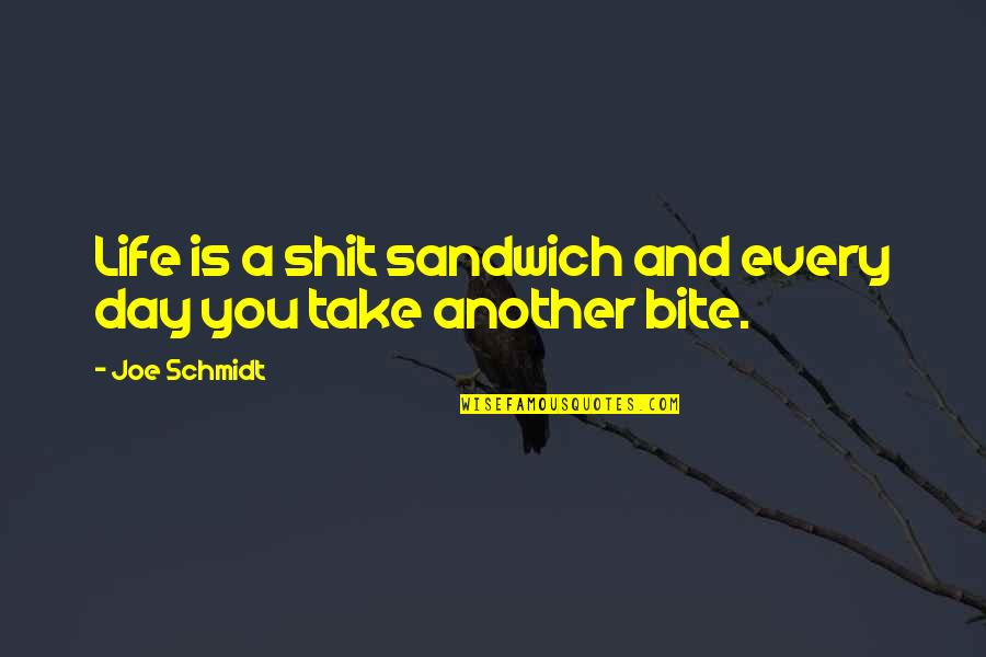 Bite Quotes By Joe Schmidt: Life is a shit sandwich and every day