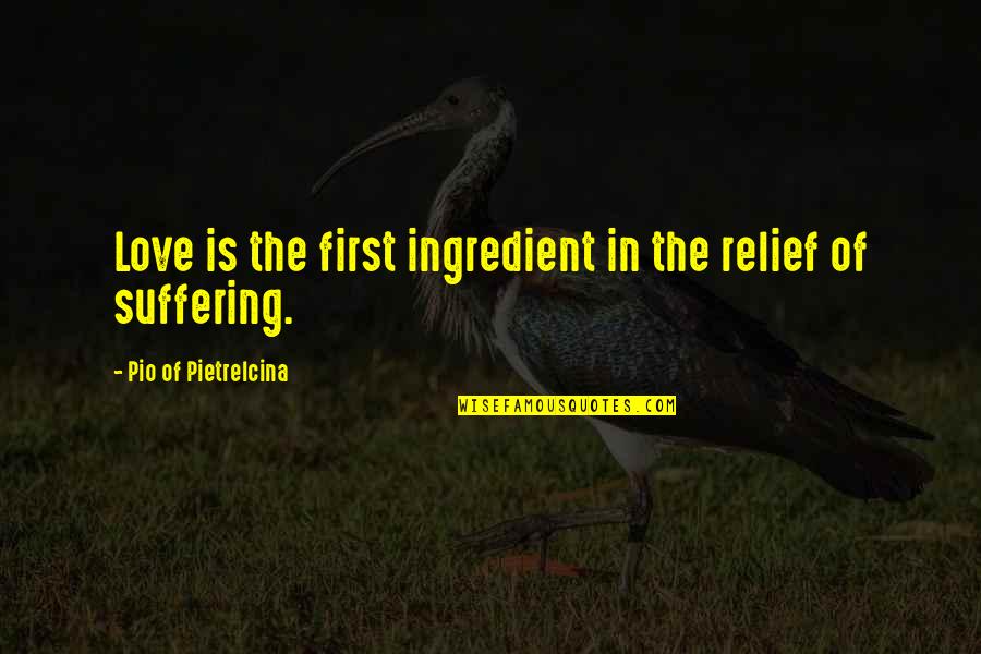 Biting Dogs Quotes By Pio Of Pietrelcina: Love is the first ingredient in the relief