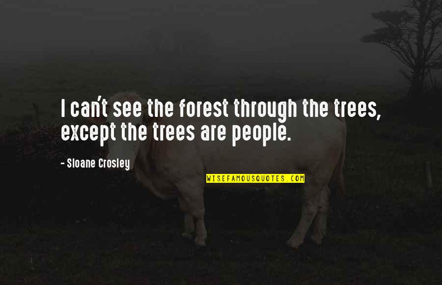 Bitjag Quotes By Sloane Crosley: I can't see the forest through the trees,