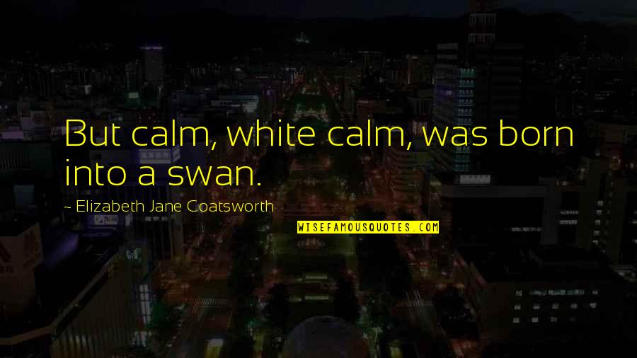 Bitney Prep Quotes By Elizabeth Jane Coatsworth: But calm, white calm, was born into a