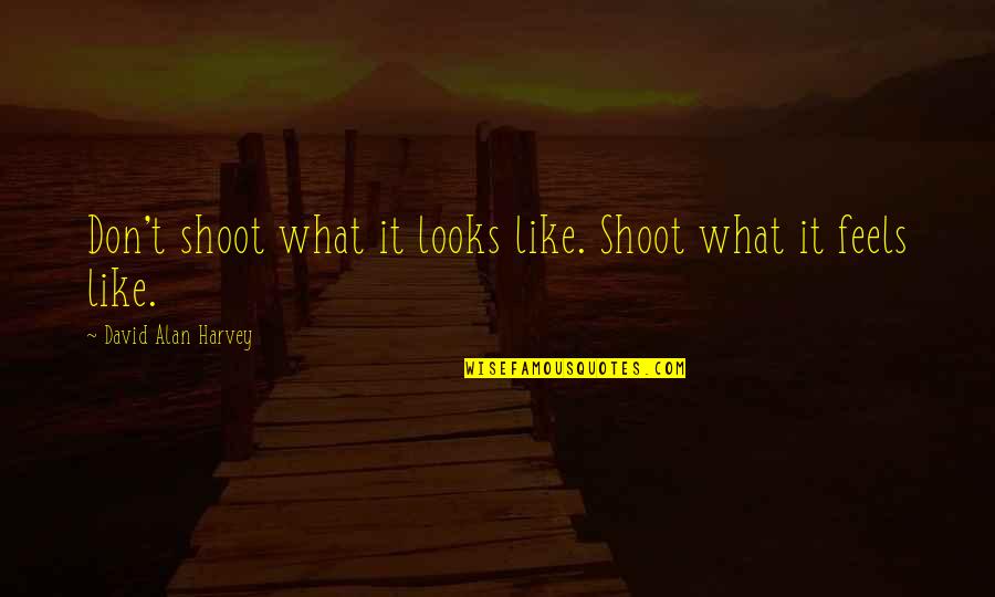 Bitq Quotes By David Alan Harvey: Don't shoot what it looks like. Shoot what
