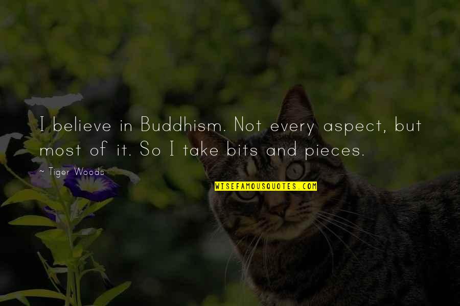 Bits & Pieces Quotes By Tiger Woods: I believe in Buddhism. Not every aspect, but