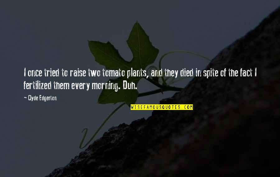 Bitsuisse Quotes By Clyde Edgerton: I once tried to raise two tomato plants,
