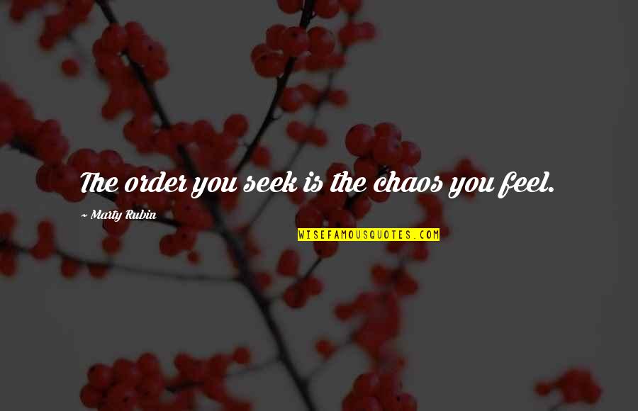 Bittara Satti Quotes By Marty Rubin: The order you seek is the chaos you Bittara Satti Quotes By Marty Rubin: The order you seek is the chaos you